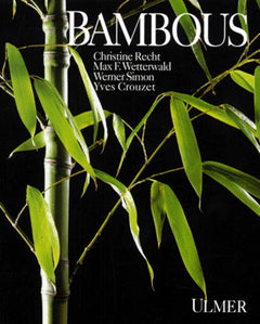 Bambous