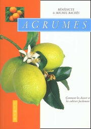 Agrumes : Comment les choisir et les cultiver facilement
