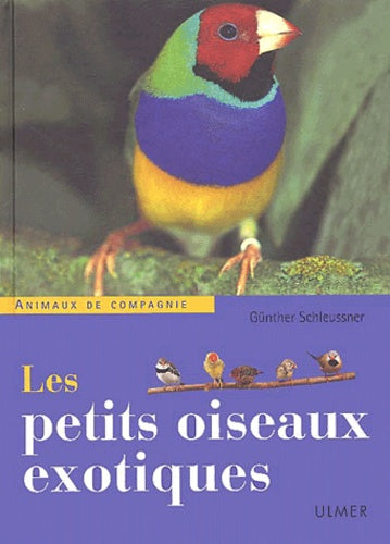 Les petits oiseaux exotiques
