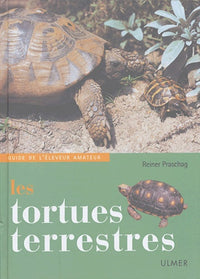 Les tortues terrestres