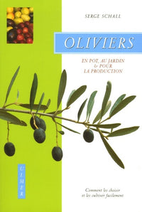 Oliviers: Comment les choisir et les cultiver facilement