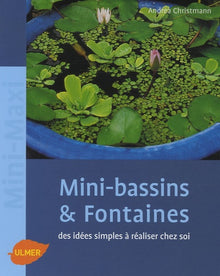 Mini-bassins et Fontaines: Des idées simples à réaliser chez soi