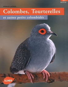 colombes, tourterelles et autres petits colombidés