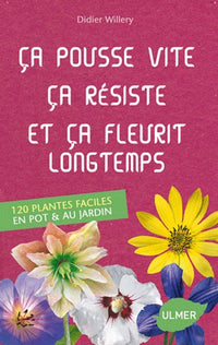 Ca pousse vite, ça résiste et ça fleurit longtemps