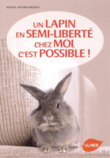 Un lapin en semi liberté chez moi c'est possible