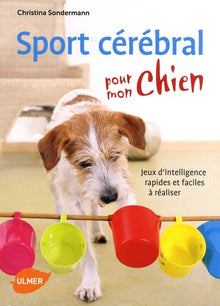Sport cérébral pour mon chien