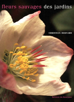 Fleurs sauvages des jardins