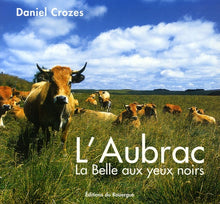 L'aubrac: La Belle aux yeux noirs