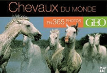Calendrier Géo - Chevaux du monde