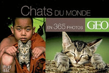 Chats du monde en 365 jours
