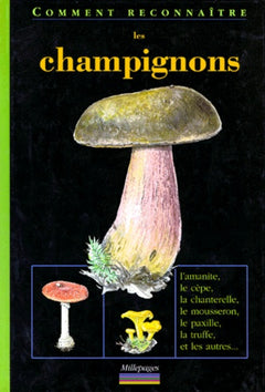 Les champignons