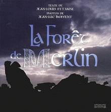 La forêt de Merlin