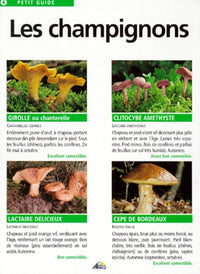 Les champignons