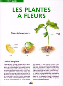 Les plantes à fleurs