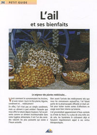 L'ail et ses bienfaits