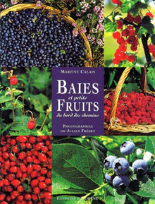 Baies et petits fruits du bord des chemins