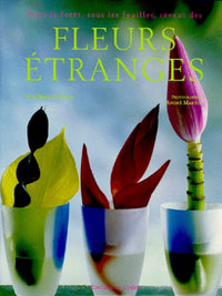 Dans la forêt, sous les feuilles, rêvent des fleurs étranges