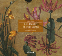 Les plantes et leurs vertus