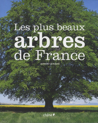 Les plus beaux arbres de France