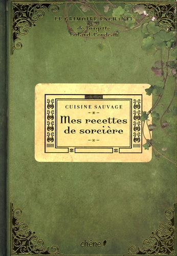 Mes recettes de sorcière : cuisine sauvage: Le grimoire enchanté