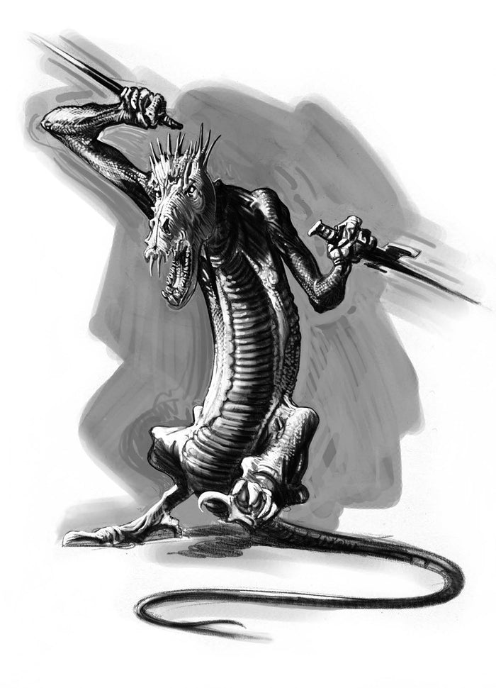 Les Maîtres des dragons