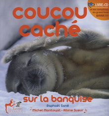 Coucou caché sur la banquise