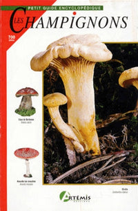 Champignons de France