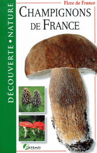Champignons de France