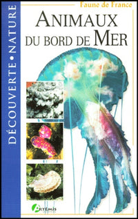 Animaux au bord de mer