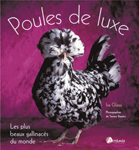 Les poules de luxe
