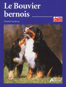 Le Bouvier bernois