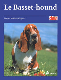 Basset hound