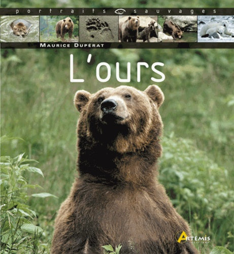 L'ours