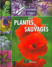Plantes sauvages