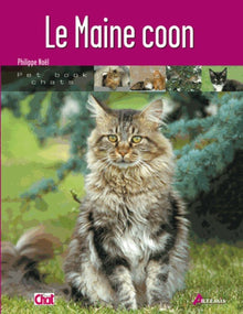 Le Maine coon