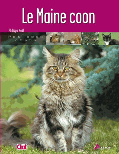 Le Maine coon