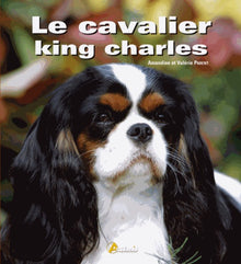 Le cavalier king charles