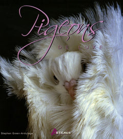 Pigeons de luxe