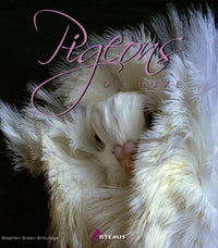 Pigeons de luxe