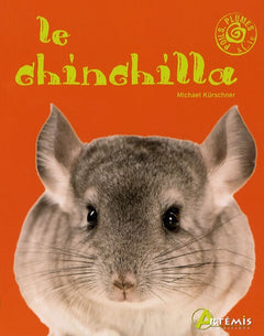 Le chinchilla