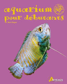 Aquarium pour débutant