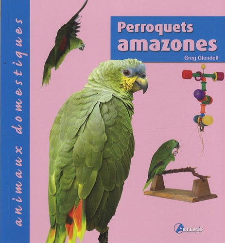 Les perroquets amazones