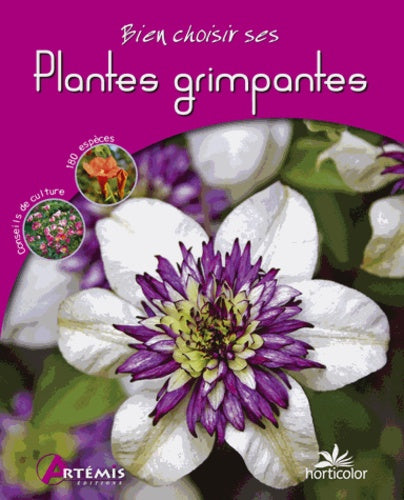 Plantes grimpantes