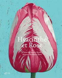 Hyacinthe et rose
