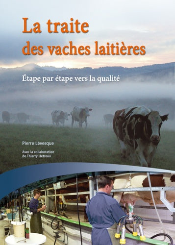 La traite des vaches laitières
