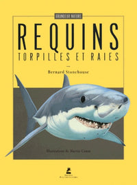 Requins, torpilles et raies