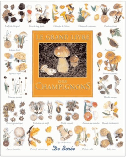 Le grand livre des champignons