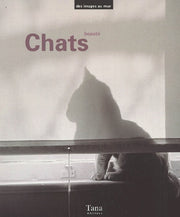 Coffret chats, beauté