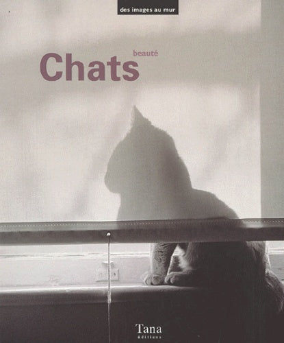 Coffret chats, beauté