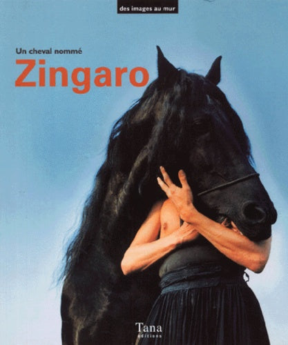 Coffret Zingaro le cheval